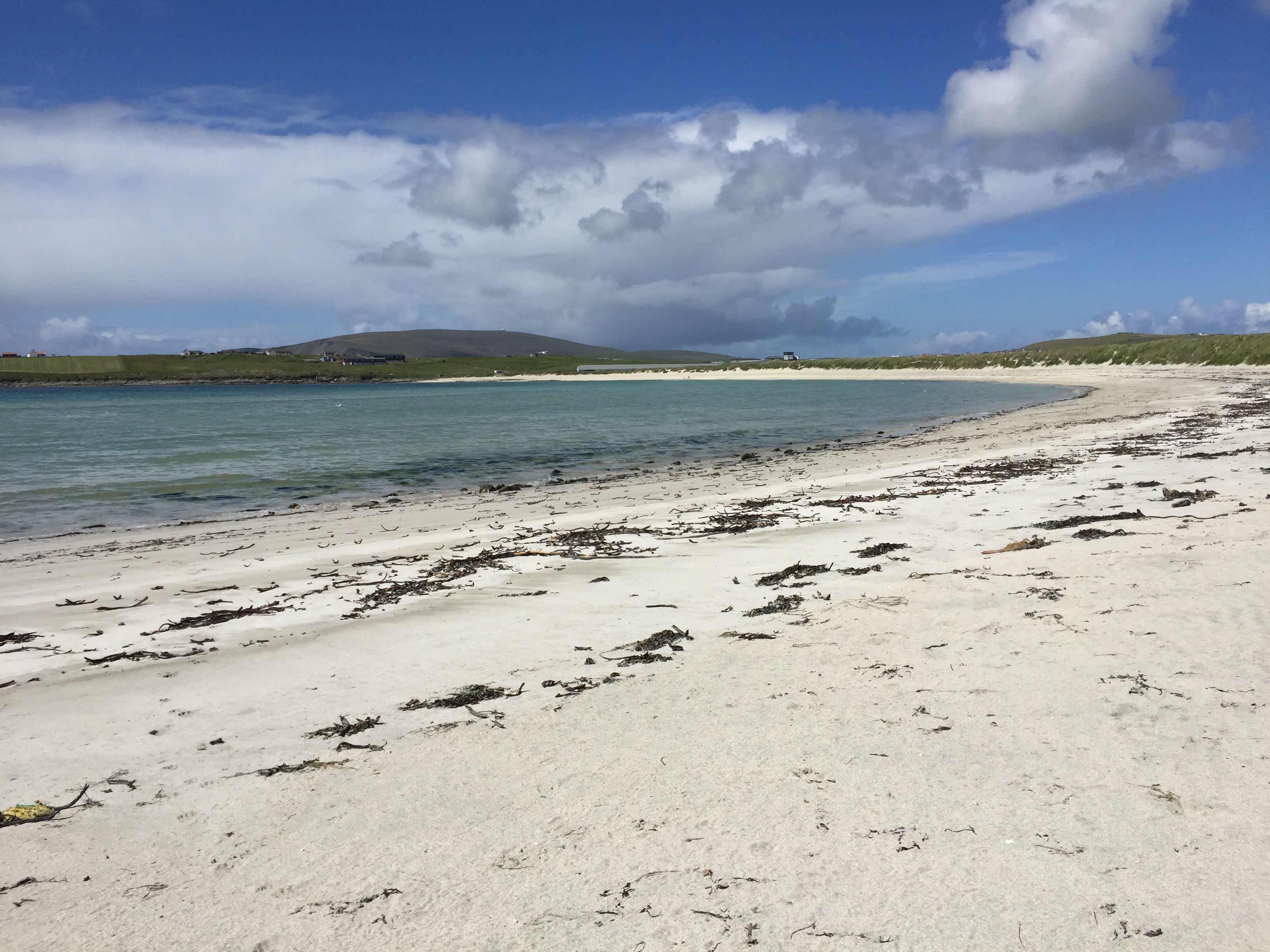 Pristine beach, sunny day